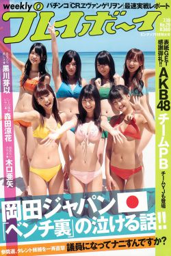 夏时陆南沉全文免费阅读小说