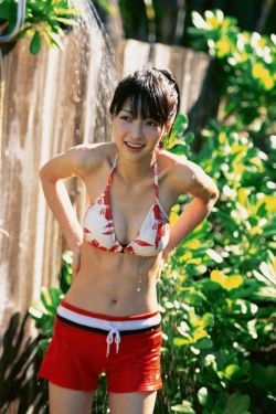 第四片甲骨